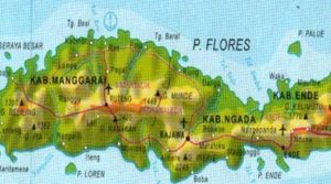 Explore Flores